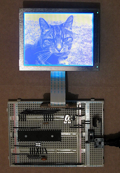 LCD driven by an ATmega644P, showing a picture of a cat.